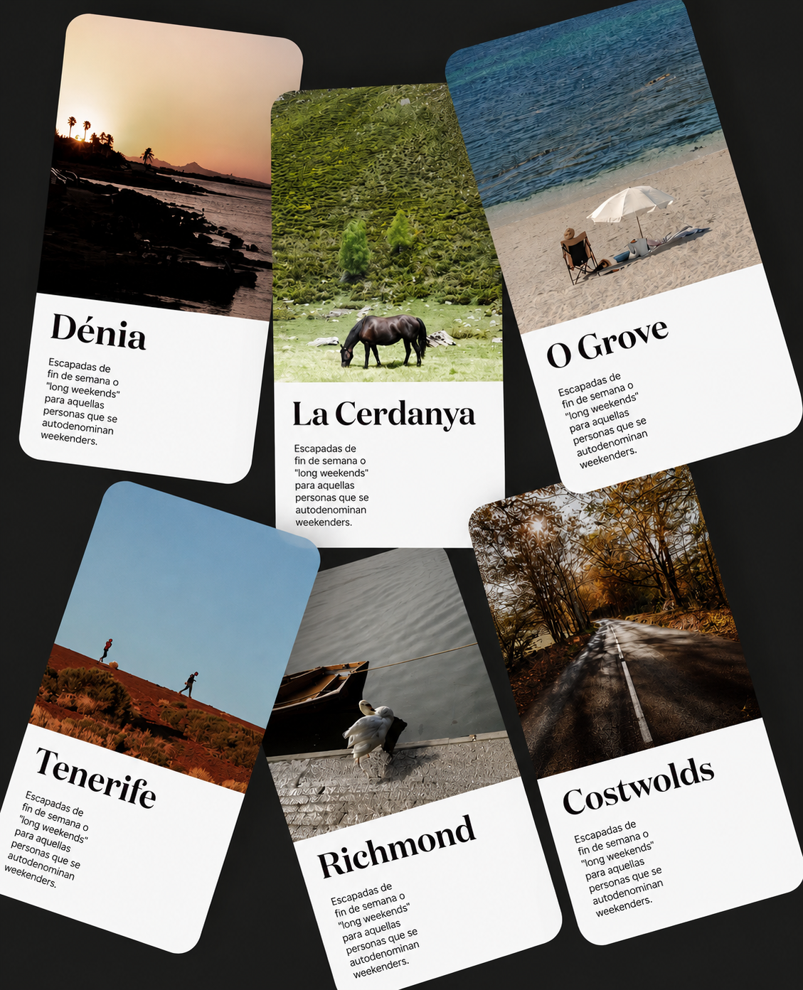 wandor design project